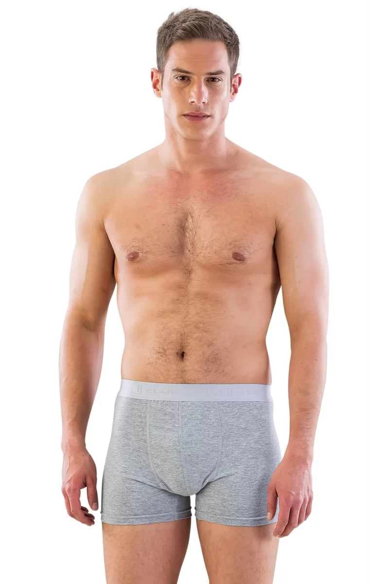 Gri Mı Emay 6700 Erkek Boxer
