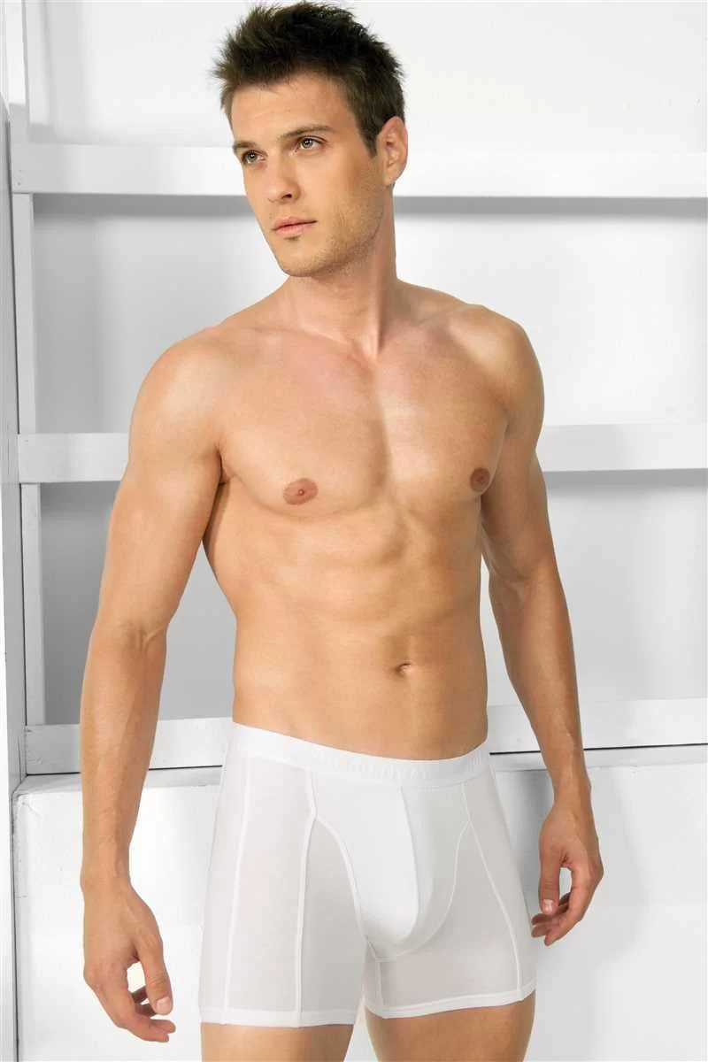 Erkek Modal Klasik Boxer