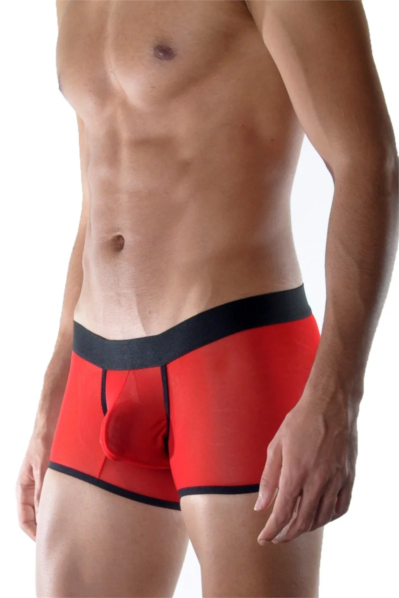 Kırmızı Erkek  Boxer