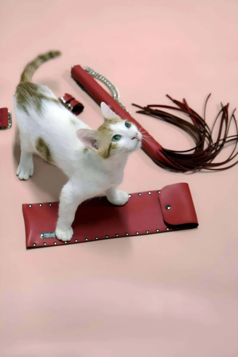 Kırbaç - Kelepçe Set, Kırbaç Takım, Fantezi Kelepçe Takım - Brf1304