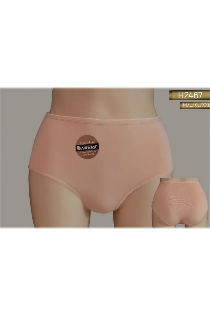 Yüksek Bel Modal Slıp Külot Kadın 2467