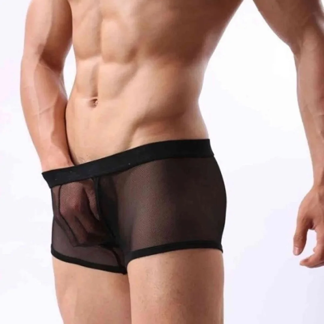 Fantezi Transparan Tül Erkek Boxer Fantezi Tanga