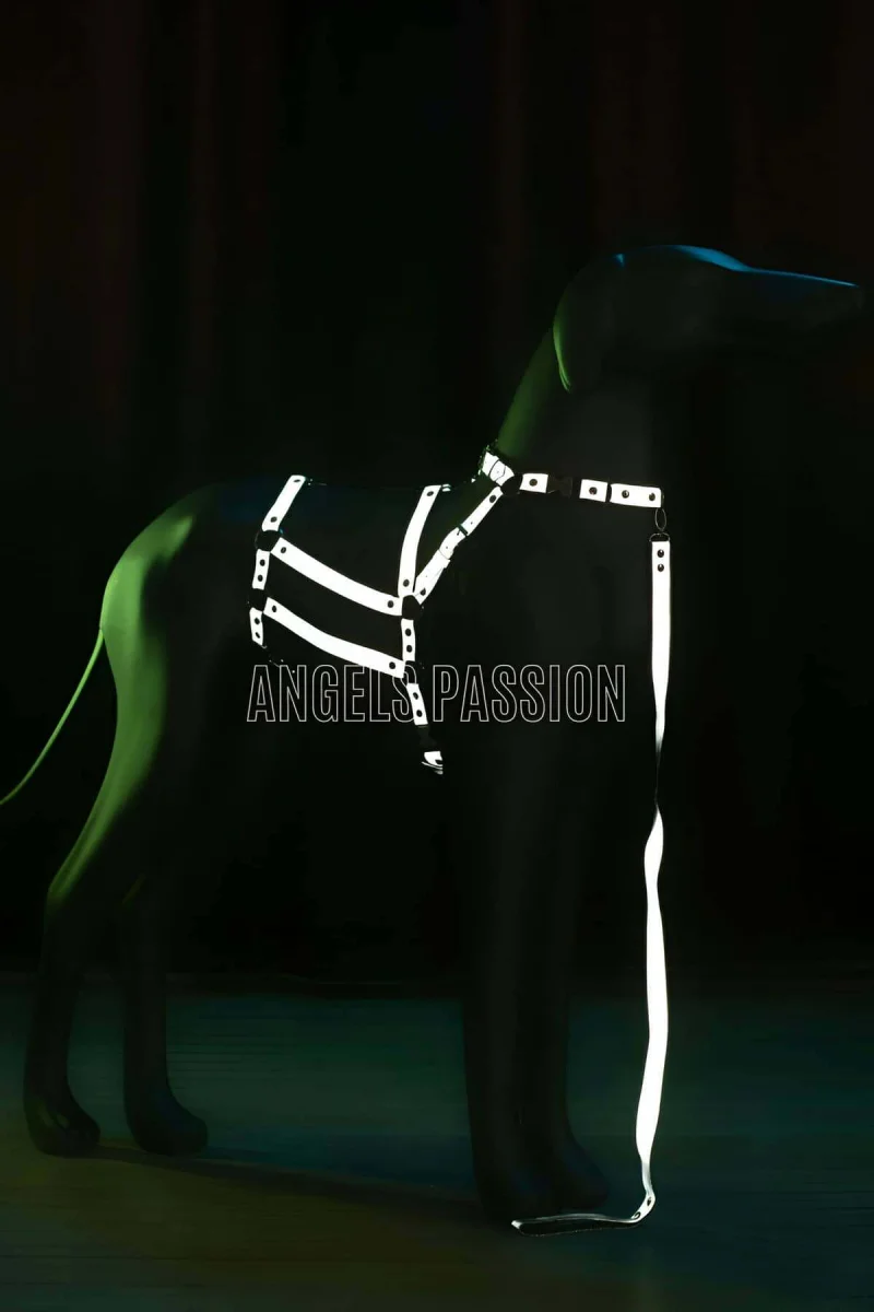 Reflektörlü - Ayarlanabilir Köpek Harness - Köpek Gezdirme Aparatı - Npd007