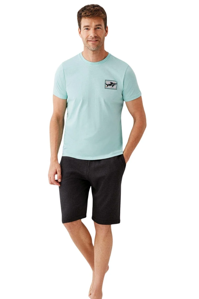 Erkek Pijama Şortlu Takım Ar3672